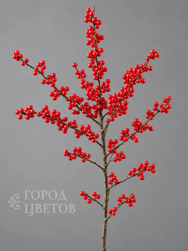 Илекс Verticillata Red (Вертициллата)