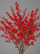Илекс Verticillata Red (Вертициллата)