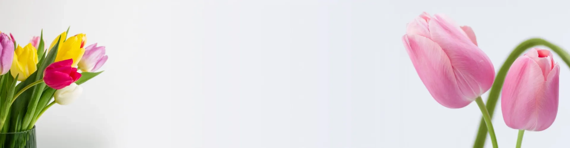 <ul><li>8 марта - время тюльпанов</li></ul>